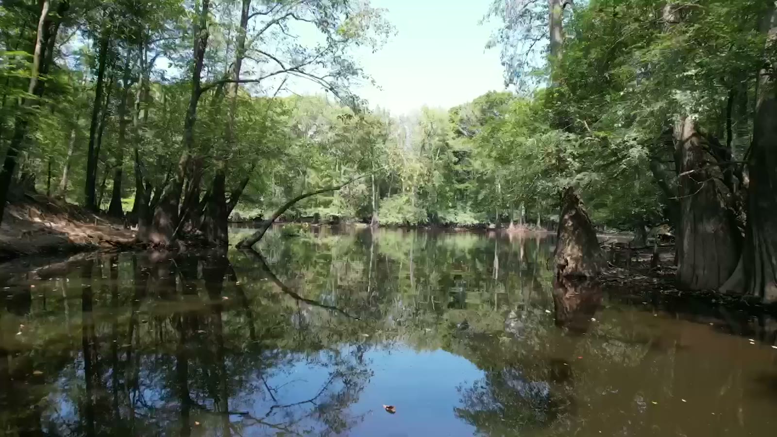 Still from the Lafayette County film